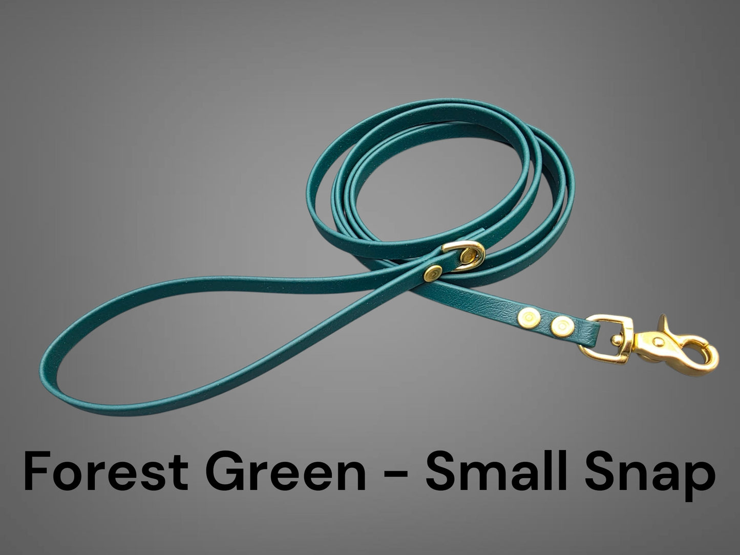 3/8" Wide BioThane® Leash with Solid Brass Trigger Snap for Toy-Sized Dogs
