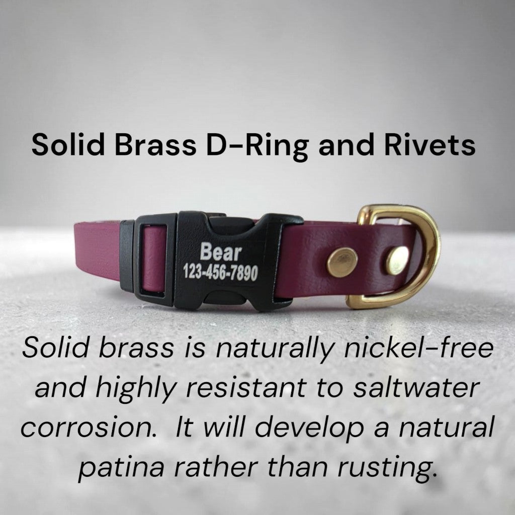 3/4" Wide BioThane® Dog Collar with Engraved Plastic Side Release Buckle