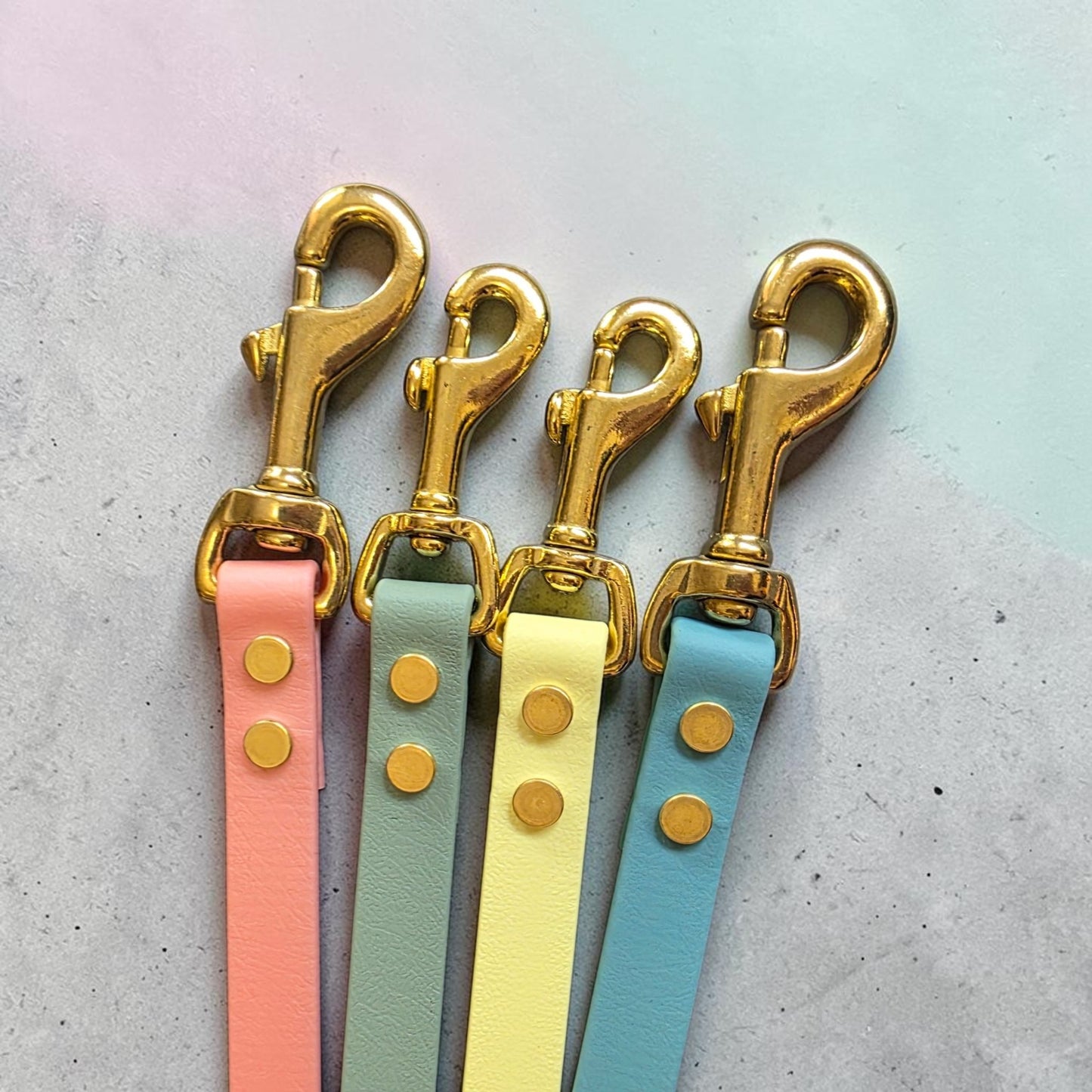5/8" Wide BioThane® Dog Leash with Solid Brass Hardware for Small and Medium-Sized Dogs
