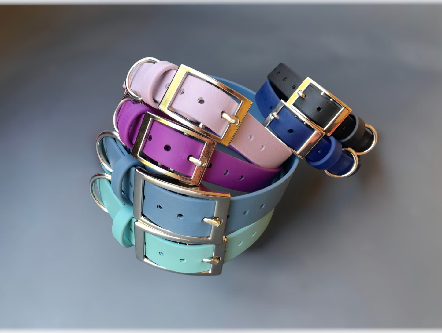 BioThane® Dog Collar with Silver Buckle
