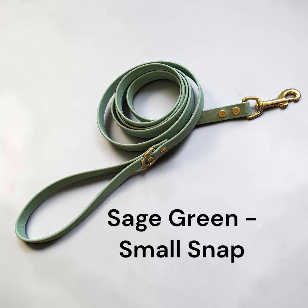 5/8" Wide BioThane® Dog Leash with Solid Brass Hardware for Small and Medium-Sized Dogs